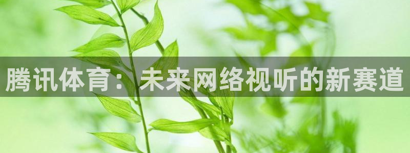 球友直播在线直播：腾讯体育：未来网络视听的新赛道