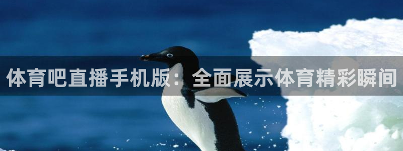 球友体育免费看nba：体育吧直播手机版：全面展示体育精彩瞬间