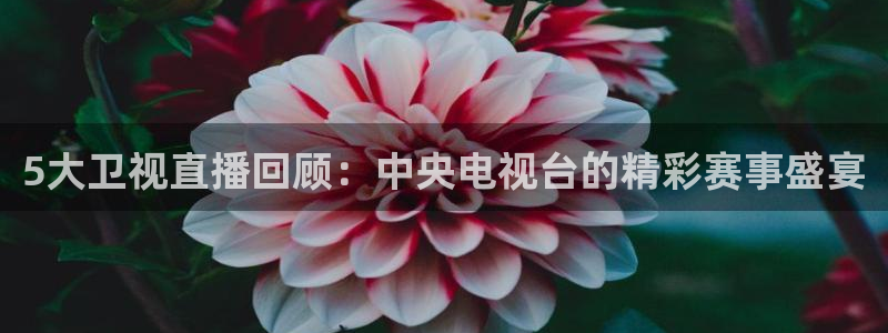 qy球友会体育网址：5大卫视直播回顾：中央电视台的精彩赛事盛宴