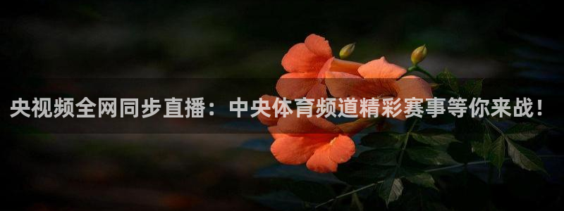球友直播app：央视频全网同步直播：中央体育频道精彩赛事等你来战！